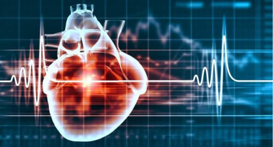 Hình minh họa trái tim và đường điện tâm đồ